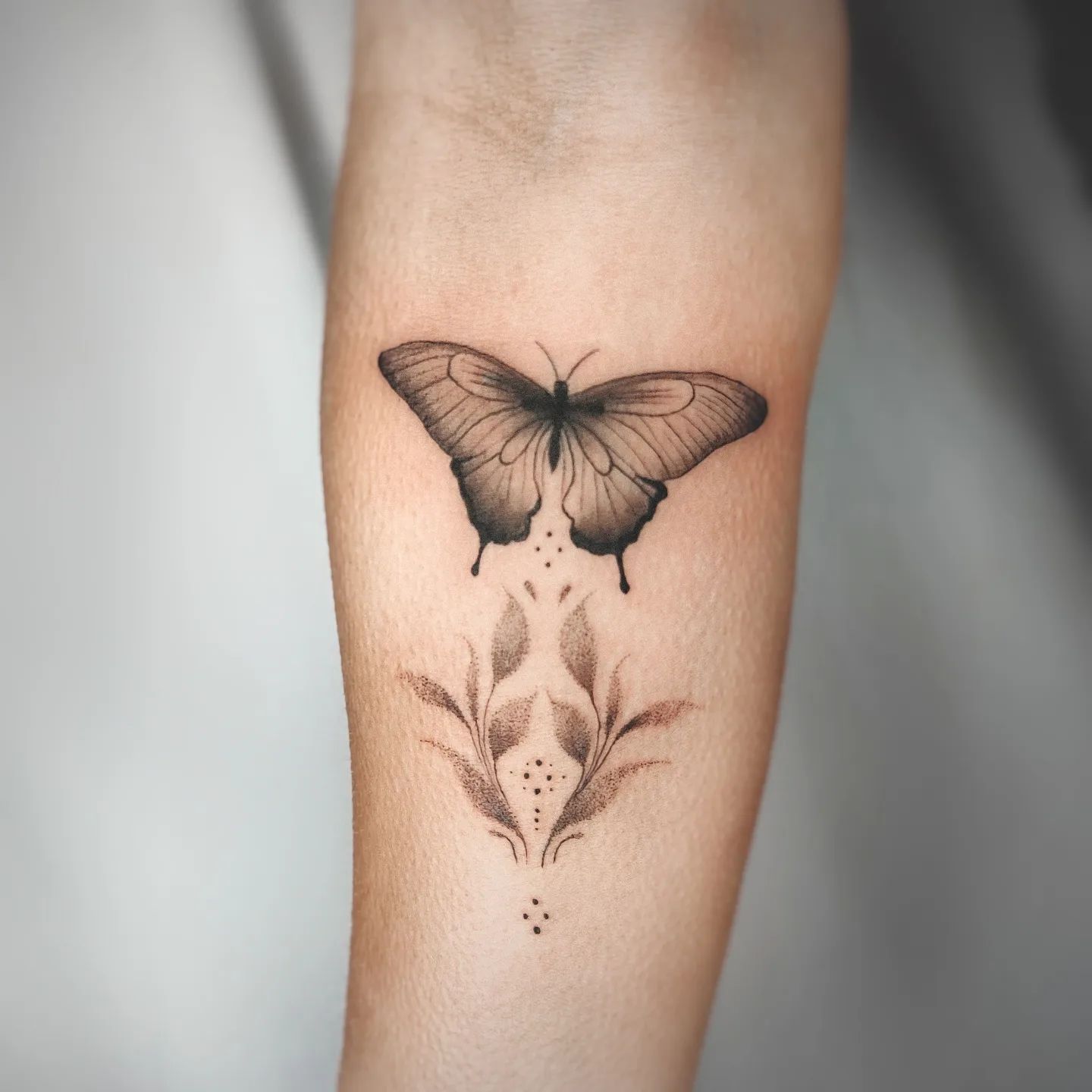 butterfly